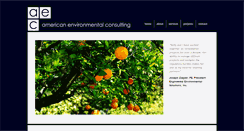 Desktop Screenshot of aeciservices.com