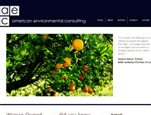 Tablet Screenshot of aeciservices.com